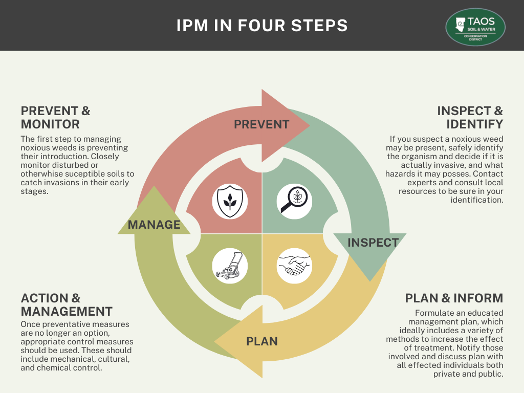 Prevent & Monitor Infograph