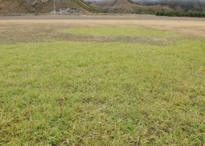 A patch of green grass in the foreground transitions into a drier, yellowish-brown grassy area in the midground. In the background, hills with rocky outcrops and sparse vegetation rise beneath low-hanging clouds or fog.